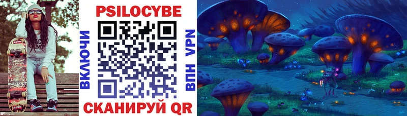 купить наркотик  Рыбное  Галлюциногенные грибы MAGIC MUSHROOMS 